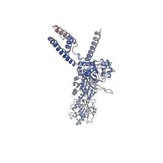 24949_7sad_B_v1-0
Memantine-bound GluN1a-GluN2B NMDA receptors