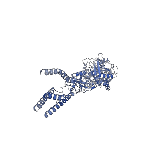 24949_7sad_C_v1-0
Memantine-bound GluN1a-GluN2B NMDA receptors