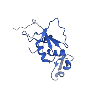 24950_7sae_J_v1-1
44SR70P Class1 ribosomal particle
