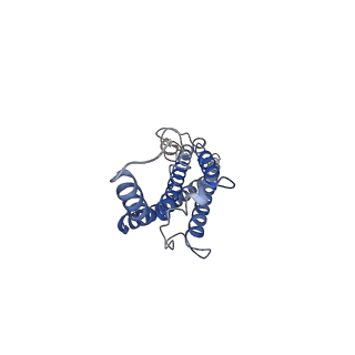 24956_7sat_A_v1-3
Structure of PorLM, the proton-powered motor that drives Type IX protein secretion