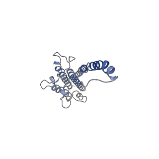 24956_7sat_B_v1-3
Structure of PorLM, the proton-powered motor that drives Type IX protein secretion