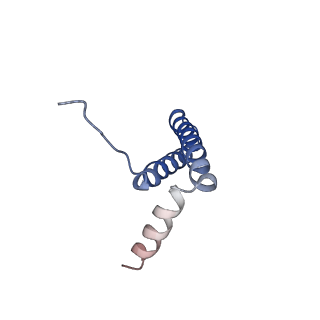 24956_7sat_C_v1-3
Structure of PorLM, the proton-powered motor that drives Type IX protein secretion