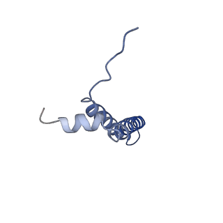 24956_7sat_D_v1-3
Structure of PorLM, the proton-powered motor that drives Type IX protein secretion