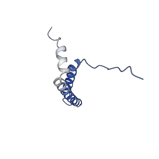 24956_7sat_E_v1-3
Structure of PorLM, the proton-powered motor that drives Type IX protein secretion