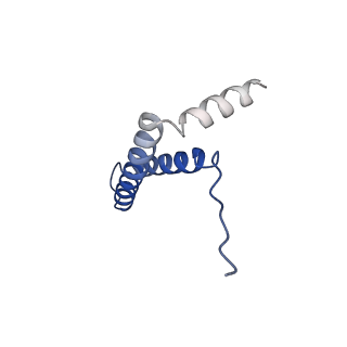 24956_7sat_F_v1-3
Structure of PorLM, the proton-powered motor that drives Type IX protein secretion