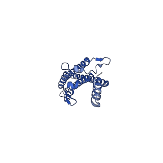 24957_7sau_A_v1-3
Structure of GldLM, the proton-powered motor that drives Type IX protein secretion and gliding motility in Schleiferia thermophila