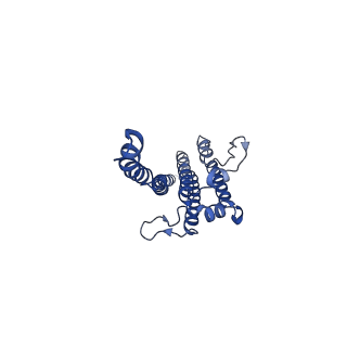 24957_7sau_B_v1-3
Structure of GldLM, the proton-powered motor that drives Type IX protein secretion and gliding motility in Schleiferia thermophila
