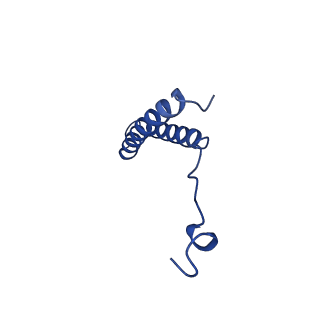 24957_7sau_C_v1-3
Structure of GldLM, the proton-powered motor that drives Type IX protein secretion and gliding motility in Schleiferia thermophila
