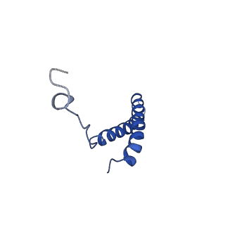 24957_7sau_E_v1-3
Structure of GldLM, the proton-powered motor that drives Type IX protein secretion and gliding motility in Schleiferia thermophila