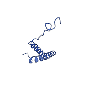 24957_7sau_F_v1-3
Structure of GldLM, the proton-powered motor that drives Type IX protein secretion and gliding motility in Schleiferia thermophila