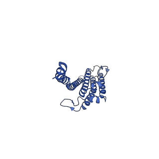 24958_7sax_B_v1-3
Structure of GldLM, the proton-powered motor that drives Type IX protein secretion and gliding motility in Sphingobacterium wenxiniae