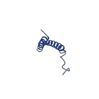 24958_7sax_C_v1-3
Structure of GldLM, the proton-powered motor that drives Type IX protein secretion and gliding motility in Sphingobacterium wenxiniae