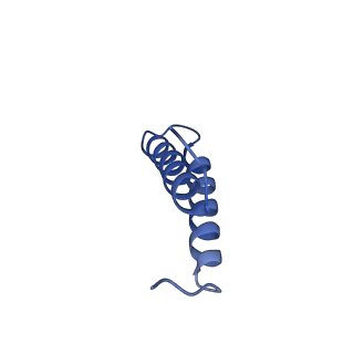 24958_7sax_D_v1-3
Structure of GldLM, the proton-powered motor that drives Type IX protein secretion and gliding motility in Sphingobacterium wenxiniae