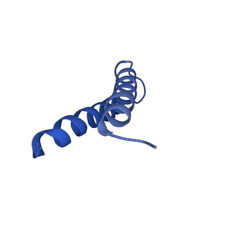 24958_7sax_E_v1-3
Structure of GldLM, the proton-powered motor that drives Type IX protein secretion and gliding motility in Sphingobacterium wenxiniae