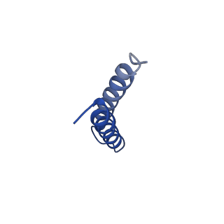 24958_7sax_G_v1-3
Structure of GldLM, the proton-powered motor that drives Type IX protein secretion and gliding motility in Sphingobacterium wenxiniae