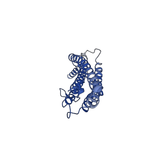 24959_7saz_A_v1-3
Structure of GldLM, the proton-powered motor that drives Type IX protein secretion and gliding motility in Capnocytophaga canimorsus