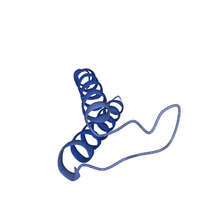 24959_7saz_C_v1-3
Structure of GldLM, the proton-powered motor that drives Type IX protein secretion and gliding motility in Capnocytophaga canimorsus