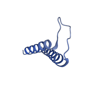 24959_7saz_D_v1-3
Structure of GldLM, the proton-powered motor that drives Type IX protein secretion and gliding motility in Capnocytophaga canimorsus