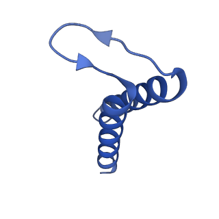 24959_7saz_E_v1-3
Structure of GldLM, the proton-powered motor that drives Type IX protein secretion and gliding motility in Capnocytophaga canimorsus