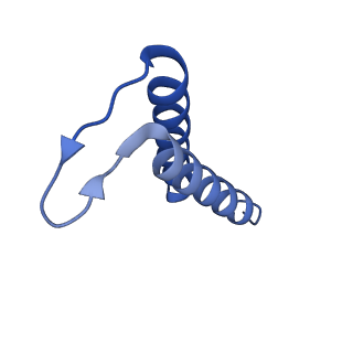 24959_7saz_F_v1-3
Structure of GldLM, the proton-powered motor that drives Type IX protein secretion and gliding motility in Capnocytophaga canimorsus