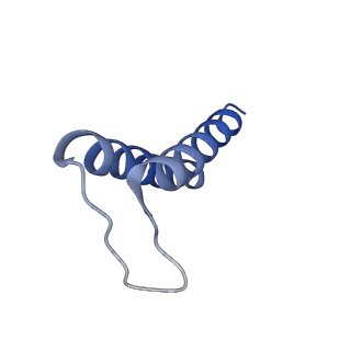 24959_7saz_G_v1-3
Structure of GldLM, the proton-powered motor that drives Type IX protein secretion and gliding motility in Capnocytophaga canimorsus