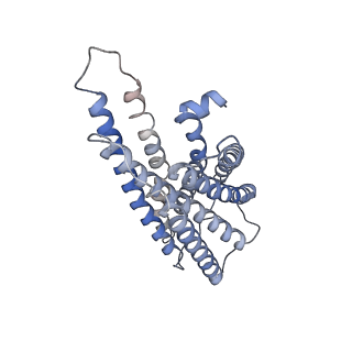 40270_8sai_A_v1-0
Cryo-EM structure of GPR34-Gi complex