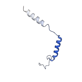 40270_8sai_C_v1-0
Cryo-EM structure of GPR34-Gi complex