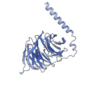 40270_8sai_E_v1-0
Cryo-EM structure of GPR34-Gi complex