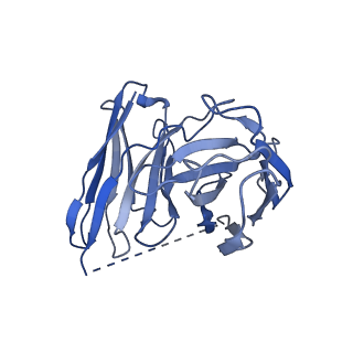 40270_8sai_S_v1-0
Cryo-EM structure of GPR34-Gi complex