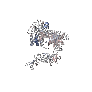 40272_8sak_A_v1-0
BtCoV-422 in complex with neutralizing antibody JC57-11