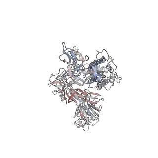 40272_8sak_B_v1-0
BtCoV-422 in complex with neutralizing antibody JC57-11