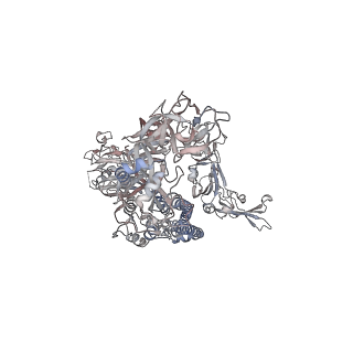 40272_8sak_C_v1-0
BtCoV-422 in complex with neutralizing antibody JC57-11