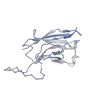 40272_8sak_H_v1-0
BtCoV-422 in complex with neutralizing antibody JC57-11
