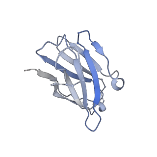 40274_8san_G_v1-1
CryoEM structure of VRC01-CH848.0836.10