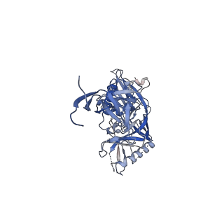 40275_8saq_E_v1-1
CryoEM structure of DH270.6-CH848.0526.25