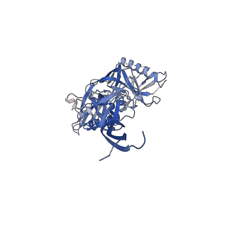40275_8saq_K_v1-1
CryoEM structure of DH270.6-CH848.0526.25