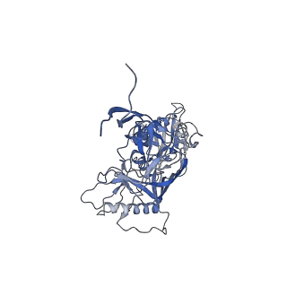 40278_8sas_A_v1-1
CryoEM structure of DH270.5-CH848.10.17