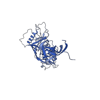 40280_8sau_F_v1-1
CryoEM structure of DH270.4-CH848.10.17