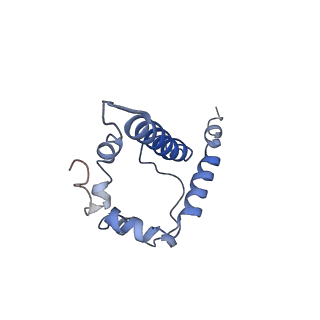 40285_8saz_B_v1-1
CryoEM structure of DH270.I5.6-CH848.10.17