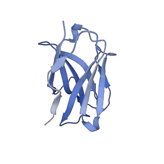 40285_8saz_C_v1-1
CryoEM structure of DH270.I5.6-CH848.10.17