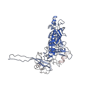 10134_6sb3_E_v1-2
CryoEM structure of murine perforin-2 ectodomain in a pre-pore form