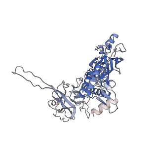 10134_6sb3_F_v1-2
CryoEM structure of murine perforin-2 ectodomain in a pre-pore form