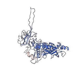 10134_6sb3_I_v1-2
CryoEM structure of murine perforin-2 ectodomain in a pre-pore form