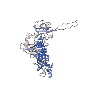 10134_6sb3_L_v1-2
CryoEM structure of murine perforin-2 ectodomain in a pre-pore form