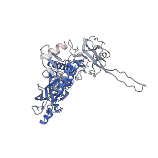 10134_6sb3_N_v1-2
CryoEM structure of murine perforin-2 ectodomain in a pre-pore form