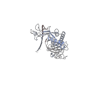 10135_6sb5_A_v1-2
CryoEM structure of murine perforin-2 ectodomain in a pore form