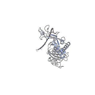 10135_6sb5_B_v1-2
CryoEM structure of murine perforin-2 ectodomain in a pore form