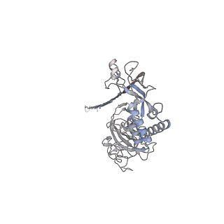 10135_6sb5_C_v1-2
CryoEM structure of murine perforin-2 ectodomain in a pore form