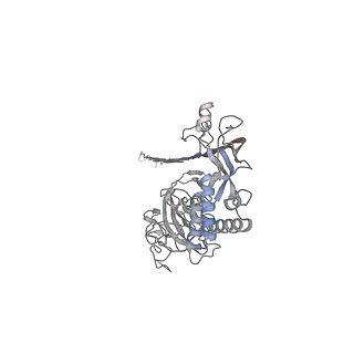 10135_6sb5_D_v1-2
CryoEM structure of murine perforin-2 ectodomain in a pore form