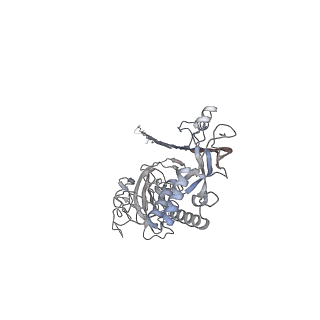 10135_6sb5_E_v1-2
CryoEM structure of murine perforin-2 ectodomain in a pore form